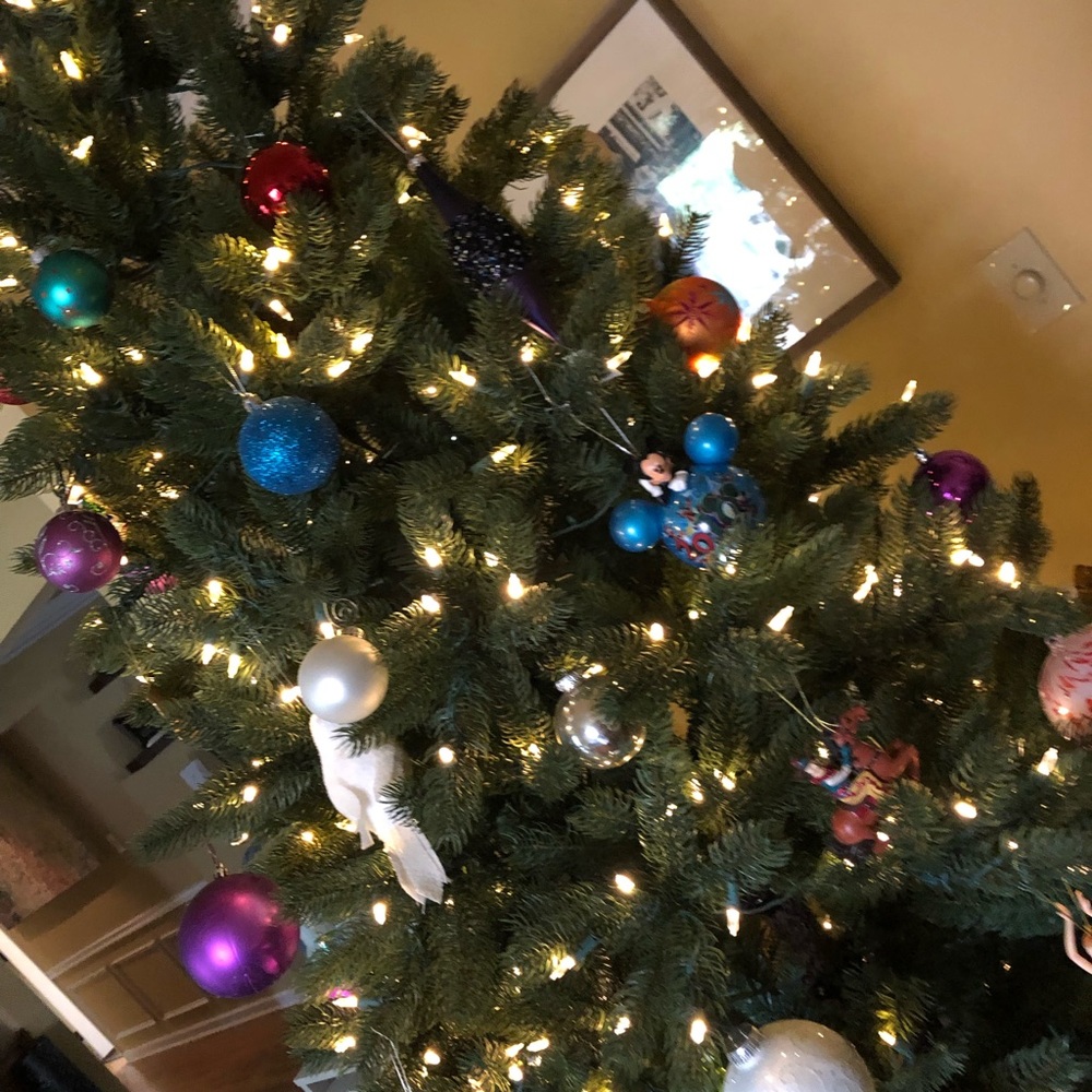 Meet your Posher, Lilli